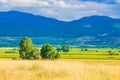 Summer pasture fields and dramatic skies Rhodope mountain view Bulgaria