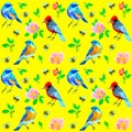 Summer pattern with birds, bees and roses on yellow background