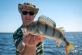 Summer perch fishing Royalty Free Stock Photo