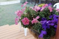 Pink and Purple Petunia Flowers Hanging Basket on a Front Porch Royalty Free Stock Photo