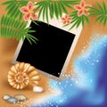 Summer photo frame with seashell and flowers Royalty Free Stock Photo