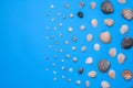 Summer photo with seashells on a blue background. Free space for your decoration. Layout. mock up Royalty Free Stock Photo