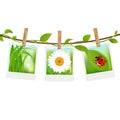 Summer Photos With Clothespins