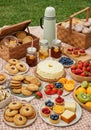 Summer Picnic with Assorted Pastries and Fruit on Gingham Blanket Royalty Free Stock Photo