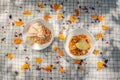 A summer picnic atmosphere, tablecloth on the lawn with plates of healthy food and fruit drinks. Flat lay food. Olive oil, salads Royalty Free Stock Photo