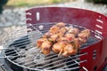 summer picnic with barbecue marinated chicken skewers with grilled vegetables Royalty Free Stock Photo