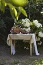 Summer picnic basket with blanket, vintage bottle, fresh fruits, and purple glasses, set against hydrangea bushes Royalty Free Stock Photo