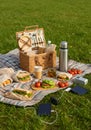 Summer Picnic Basket Outdoors on Green Grass Royalty Free Stock Photo