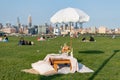summer picnic in the central park. romantic date in manhattan. picnic in new york. summer outdoor romance. romantic