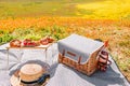 Summer picnic composition, wicker basket, straw hat, wine and small table with fruits and croissants Royalty Free Stock Photo