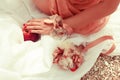 Summer picnic concept. Hand of sitting woman in trendy dress holding red apple love symbol. Wedding accessories on white vapory