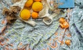 summer picnic flatlay, fruits, oranges in string bag, notes and laptop on cotton blanket, freelance work, outdoor office Royalty Free Stock Photo