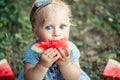 Summer picnic food. Cute Caucasian baby girl eating ripe red watermelon in park. Funny child kid sitting on ground with fresh