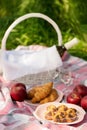 Summer picnic in the forest on the grass. Wine, fruit and croissants. Royalty Free Stock Photo