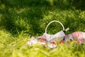 Summer picnic in the forest on the grass. Wine, fruit and croissants. Royalty Free Stock Photo