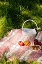 Summer picnic in the forest on the grass. Wine, fruit and croissants. Royalty Free Stock Photo