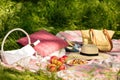 Summer picnic in the forest on the grass. Wine, fruit and croissants. Royalty Free Stock Photo