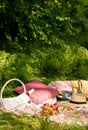 Summer picnic in the forest on the grass. Wine, fruit and croissants. Royalty Free Stock Photo