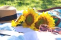 Summer picnic on the green grass with bright accessories Royalty Free Stock Photo