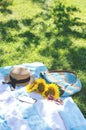 Summer picnic on the green grass with bright accessories Royalty Free Stock Photo