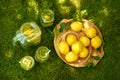 Summer picnic on green grass with glass jug of cool lemonade, three glasses with straws and whole lemons on wooden tray in park Royalty Free Stock Photo