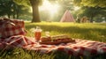 summer picnic hot dogs Royalty Free Stock Photo