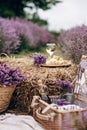 Summer picnic in the lavender field. A glass of white wine, a picnic basket, snacks and a bouquet of flowers on a haystack among Royalty Free Stock Photo