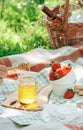 Summer picnic with light snacks - cheese, strawberry and honey