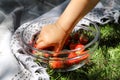 Summer picnic. Little child taking a sweet tasty strawberry from the glass bowl Royalty Free Stock Photo