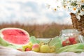 Summer picnic in the meadow on the green grass. Fruit basket, juice and bottled wine, watermelon and bread baguettes Royalty Free Stock Photo