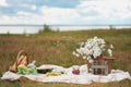 Summer picnic in the meadow on the green grass. Fruit basket, juice and bottled wine, watermelon and bread baguettes Royalty Free Stock Photo