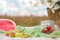 Summer picnic in the meadow on the green grass. Fruit basket, juice and bottled wine, watermelon and bread baguettes Royalty Free Stock Photo