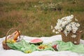 Summer picnic in the meadow on the green grass. Fruit basket, juice and bottled wine, watermelon and bread baguettes Royalty Free Stock Photo