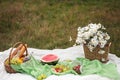 Summer picnic in the meadow on the green grass. Fruit basket, juice and bottled wine, watermelon and bread baguettes Royalty Free Stock Photo