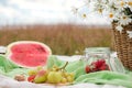 Summer picnic in the meadow on the green grass. Fruit basket, juice and bottled wine, watermelon and bread baguettes Royalty Free Stock Photo