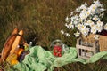 Summer picnic in the meadow on the green grass. Fruit basket, juice and bottled wine, watermelon and bread baguettes Royalty Free Stock Photo