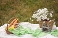 Summer picnic in the meadow on the green grass. Fruit basket, juice and bottled wine, watermelon and bread baguettes Royalty Free Stock Photo
