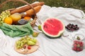 Summer picnic in the meadow on the green grass. Fruit basket, juice and bottled wine, watermelon and bread baguettes Royalty Free Stock Photo