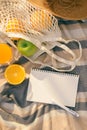 Summer picnic in nature with diary and fruits Royalty Free Stock Photo