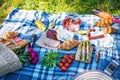 Summer picnic in the park on the grass. Wine, fruit and croissants Royalty Free Stock Photo