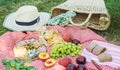 Summer picnic in the park on the grass. Wine, fruit and croissants Royalty Free Stock Photo