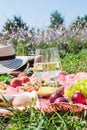 Summer picnic in the park on the grass. Wine, fruit and croissants Royalty Free Stock Photo