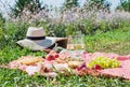 Summer picnic in the park on the grass. Wine, fruit and croissants Royalty Free Stock Photo