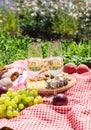 Summer picnic in the park on the grass. Wine, fruit and croissants Royalty Free Stock Photo