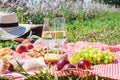 Summer picnic in the park on the grass. Wine, fruit and croissants Royalty Free Stock Photo