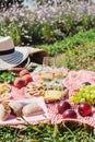 Summer picnic in the park on the grass. Wine, fruit and croissants Royalty Free Stock Photo
