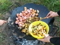 Summer picnic. Preparation of delicious sausages