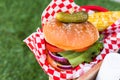 Summer picnic Royalty Free Stock Photo