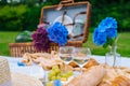 Summer picnic on sunny day with bread, fruit, bouquet hydrangea flowers, glasses wine, straw hat, book and ukulele. Picnic basket Royalty Free Stock Photo