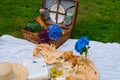 Summer picnic on sunny day with bread, fruit, bouquet hydrangea flowers, glasses wine, straw hat, book and ukulele. Picnic basket Royalty Free Stock Photo